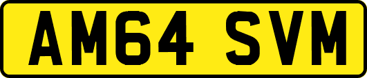 AM64SVM