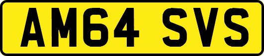 AM64SVS