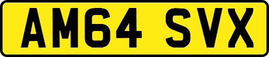 AM64SVX