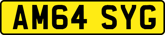 AM64SYG