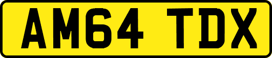 AM64TDX