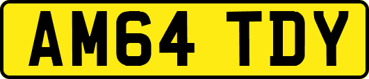 AM64TDY