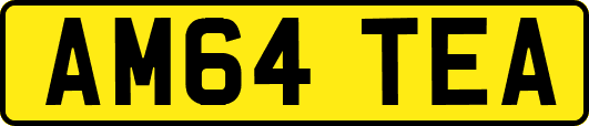 AM64TEA