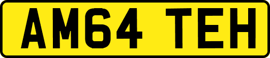 AM64TEH