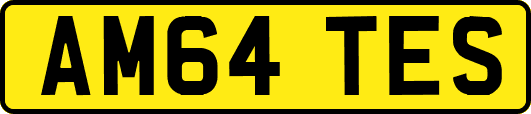 AM64TES