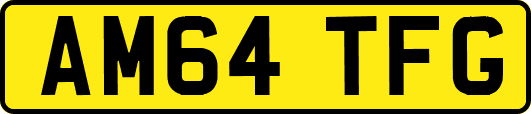 AM64TFG