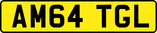 AM64TGL