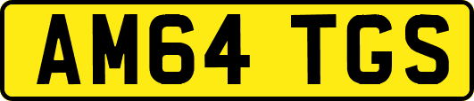 AM64TGS