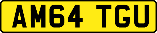 AM64TGU
