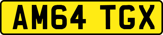 AM64TGX