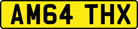 AM64THX