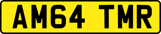 AM64TMR