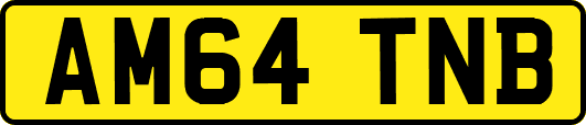 AM64TNB