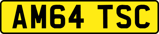 AM64TSC
