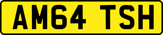 AM64TSH