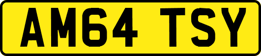 AM64TSY