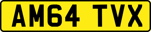 AM64TVX