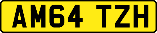AM64TZH