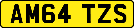 AM64TZS