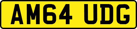 AM64UDG