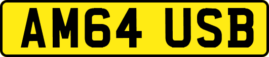 AM64USB