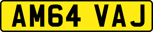 AM64VAJ