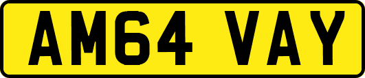 AM64VAY
