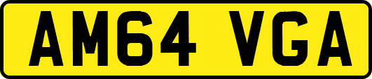 AM64VGA