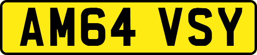 AM64VSY