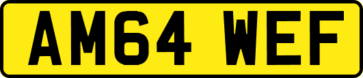 AM64WEF