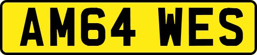 AM64WES