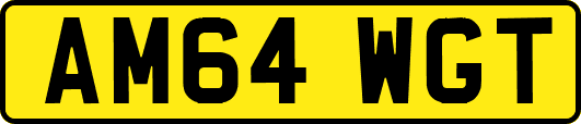 AM64WGT