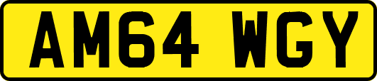 AM64WGY