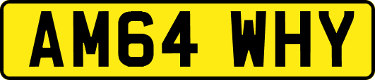 AM64WHY