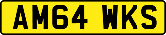 AM64WKS