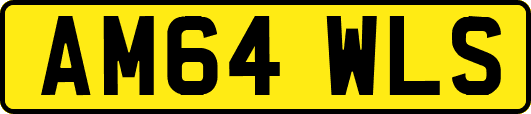 AM64WLS