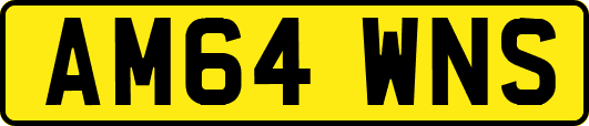 AM64WNS