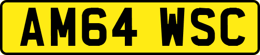 AM64WSC