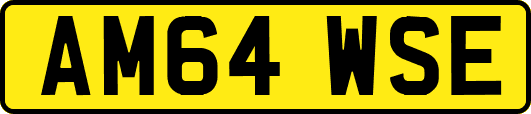 AM64WSE