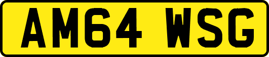 AM64WSG