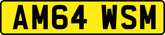 AM64WSM