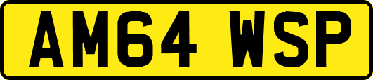 AM64WSP