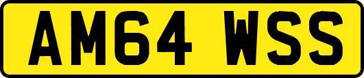 AM64WSS