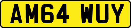 AM64WUY