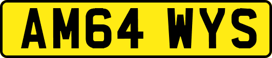 AM64WYS