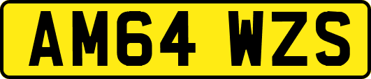 AM64WZS