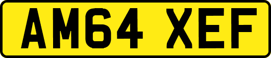 AM64XEF