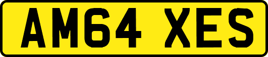 AM64XES