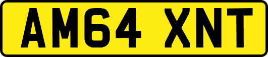 AM64XNT