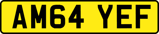 AM64YEF